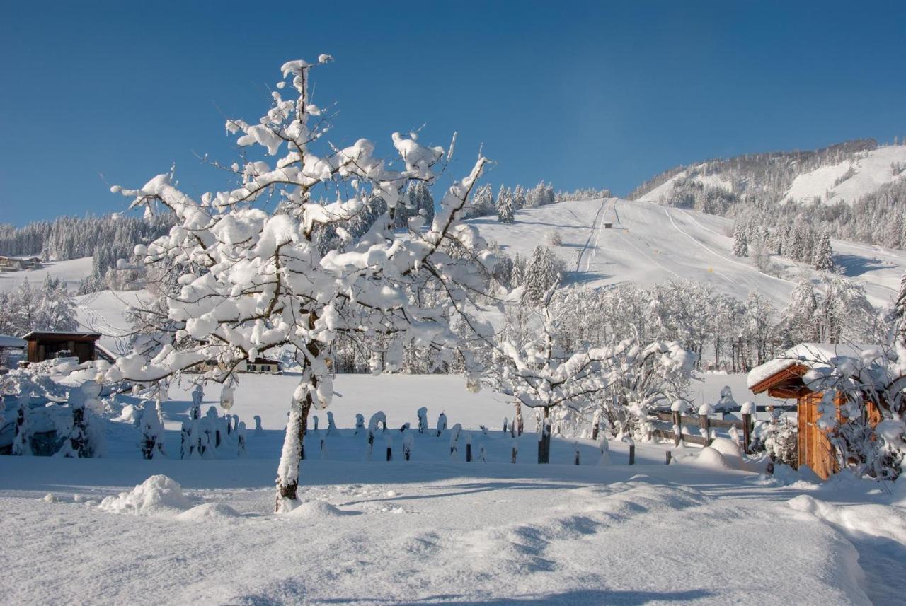 Das Glaagut - Familie Hain Hochfilzen Luaran gambar